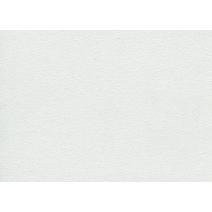  Стеновая панель 4200 №10 Белый, 6 мм, фото 1 