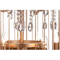  Люстра Birdcage D60 Gold, фото 6 