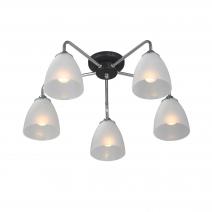  Люстра V4500-9/5PL, 5xE14 макс. 40Вт, плафон ПП, фото 1 