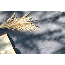  "Канны" лаунж-зона 4-местная из роупа со столом "Верона" (серый гранит), каркас алюминиевый коричневый, роуп коричневый, фото 16 