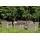  "Капучино" лаунж-зона из искусственного ротанга (гиацинт), цвет серый, фото 23 
