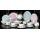  Посуда из костяного фарфора Sienna 26 Pcs Dinner Set, фото 3 