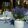  Обеденный комплект LANA LUX DINING L светло-серый, фото 5 
