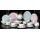  Посуда из костяного фарфора Sienna 26 Pcs Dinner Set, фото 3 