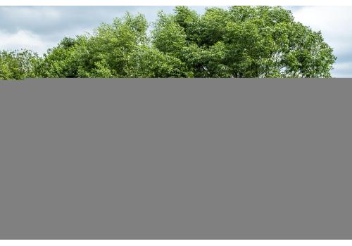  "Стильяно" плетеная кровать круглая, цвет соломенный, фото 93 